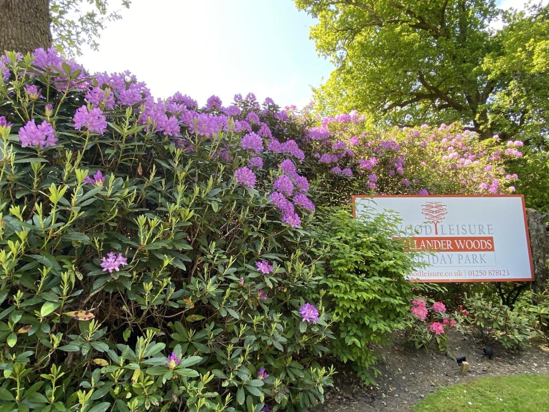 Callander Woods Holiday Park Zewnętrze zdjęcie
